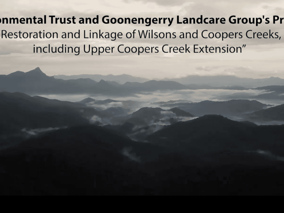 Wilsons and Coopers Creek&nbsp;Update